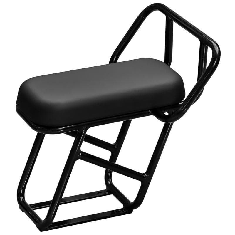 Passenger seat riser