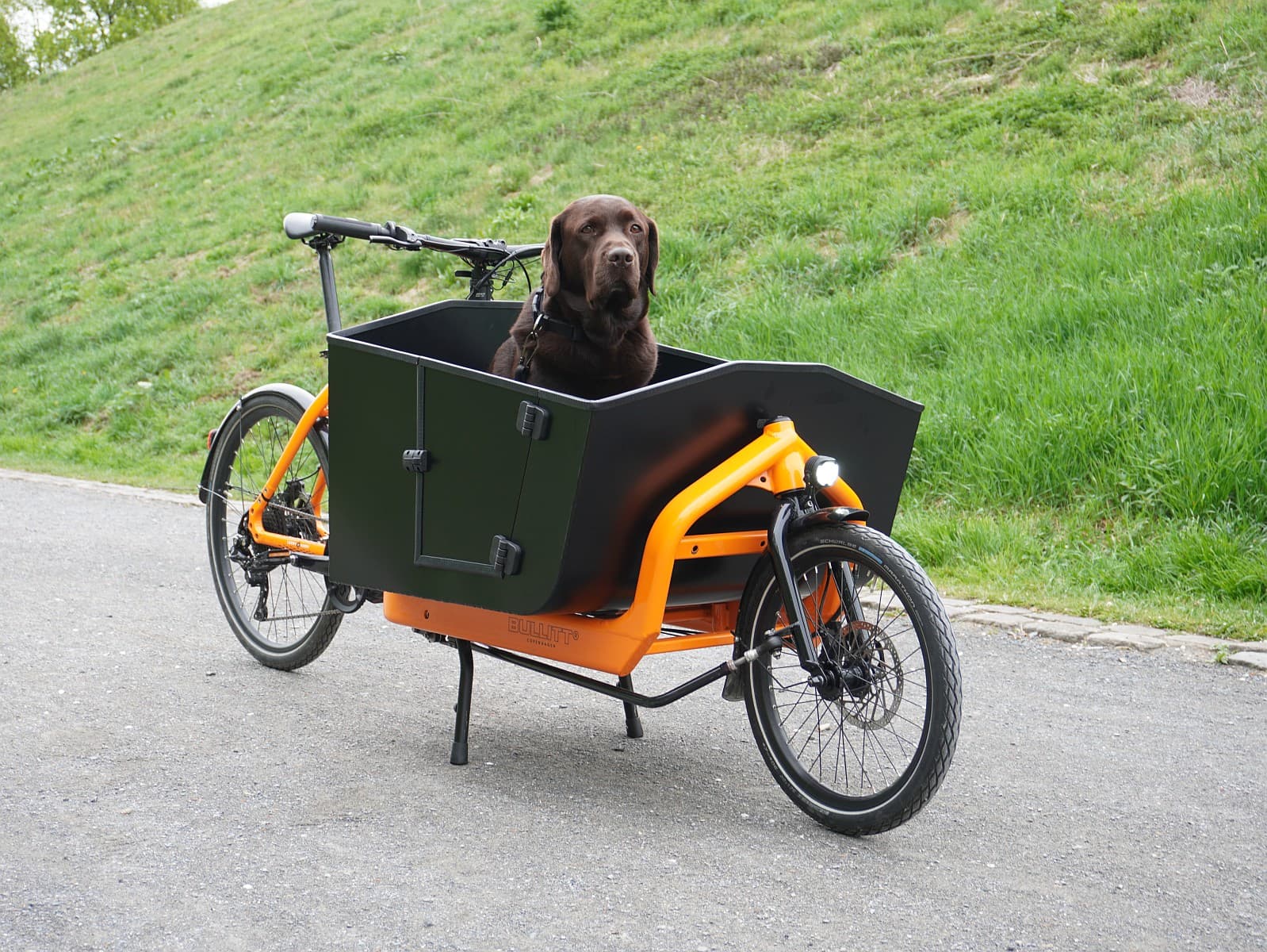 MAXI Hundebox