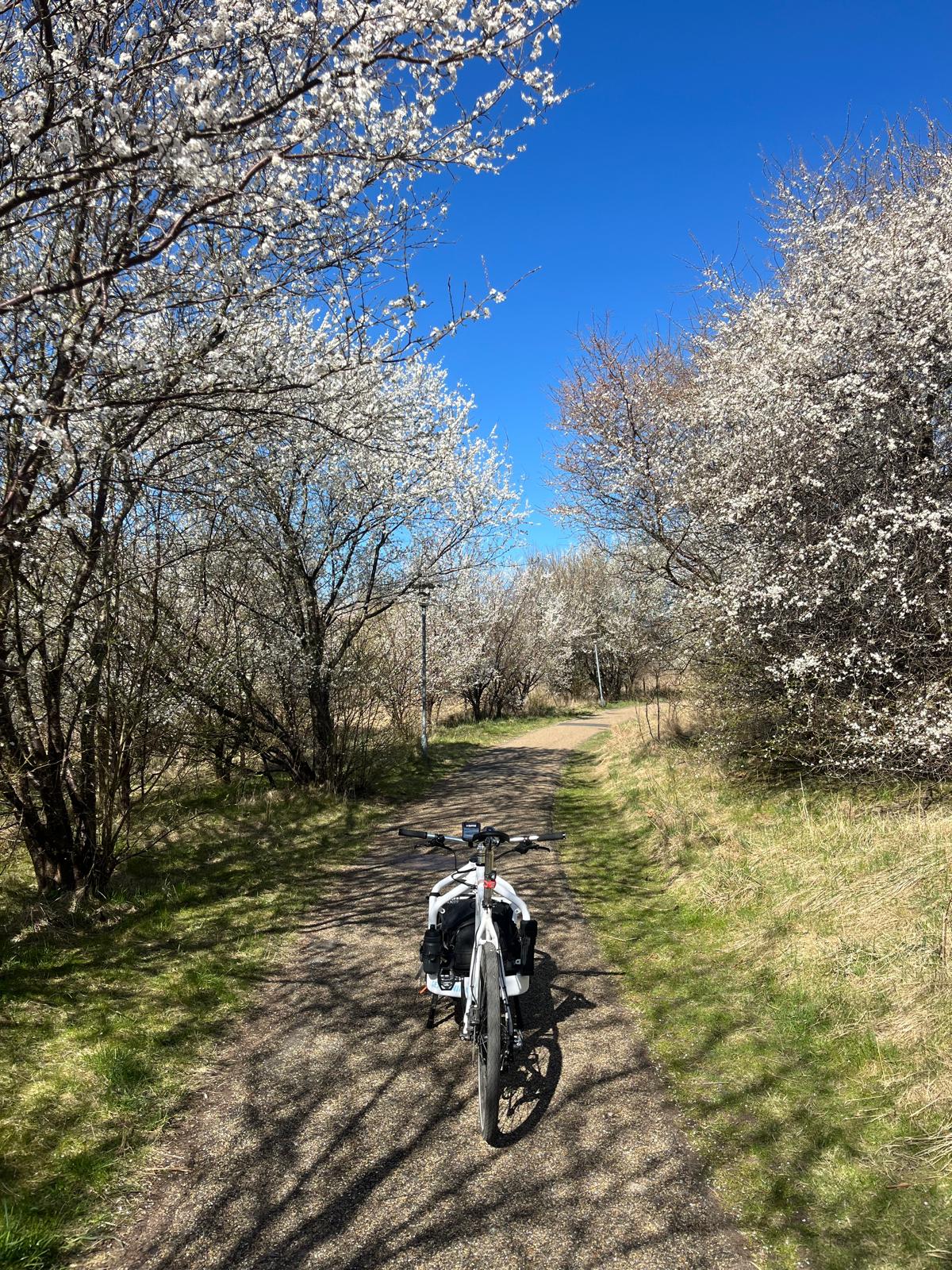 POV from cargo area, someone's feet, sunset