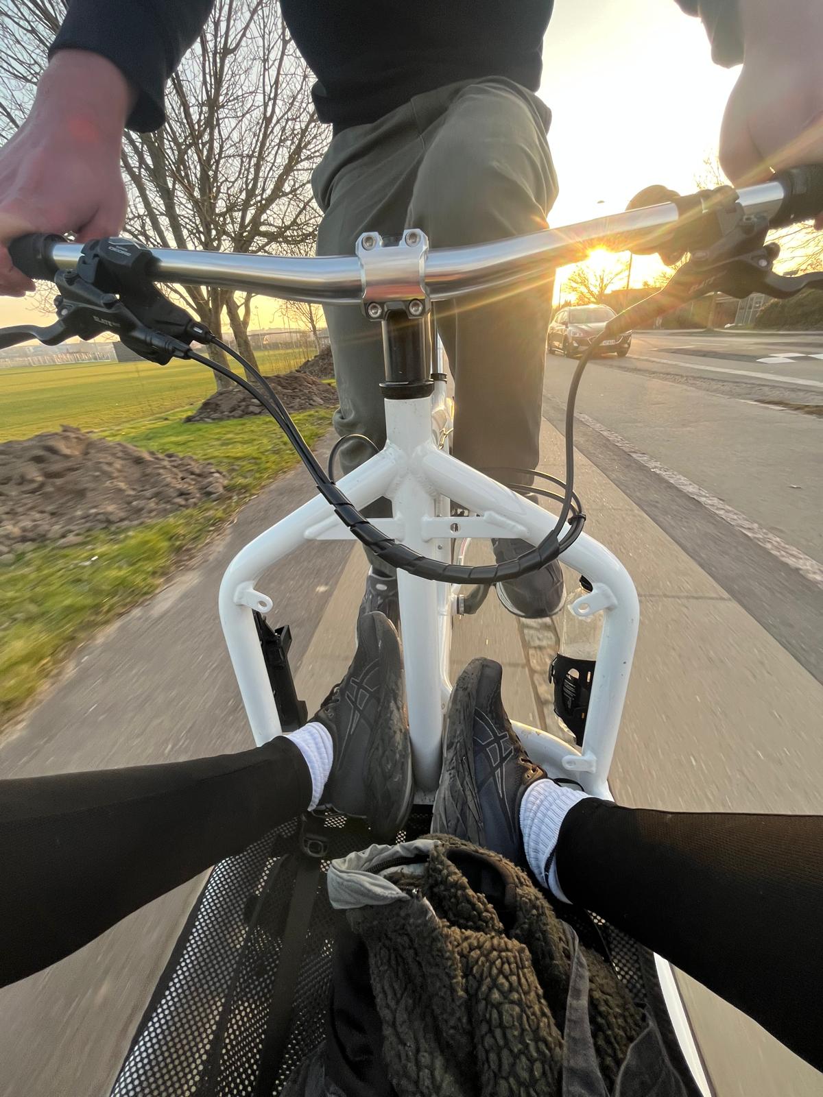 White Bullitt on cherry blossom path