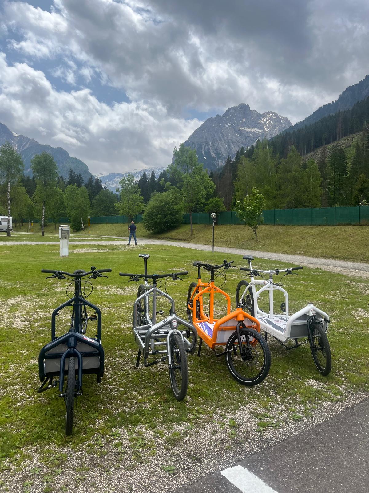 Four Bullitts parked in alpine meadow