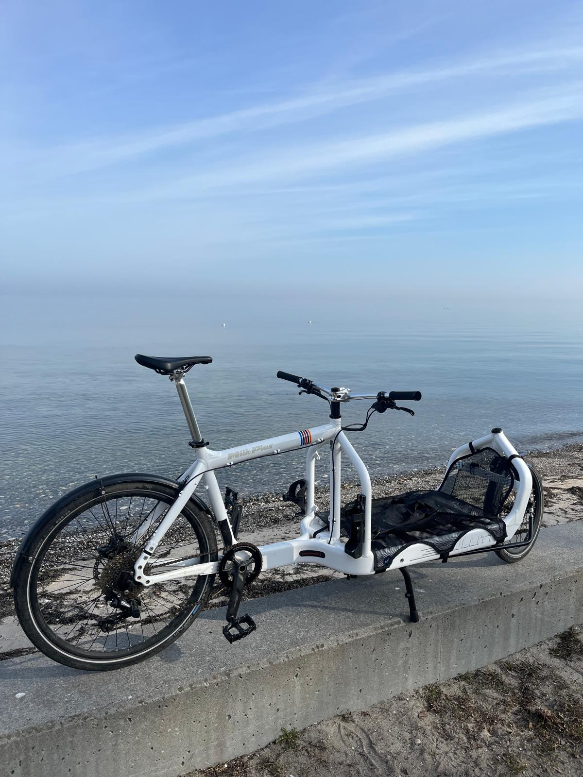 White Bullitt by the sea